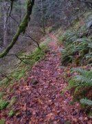 11.27.05 Nesmith Point 034 